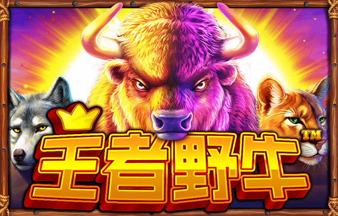 bob半岛网页版在线登录截图1
